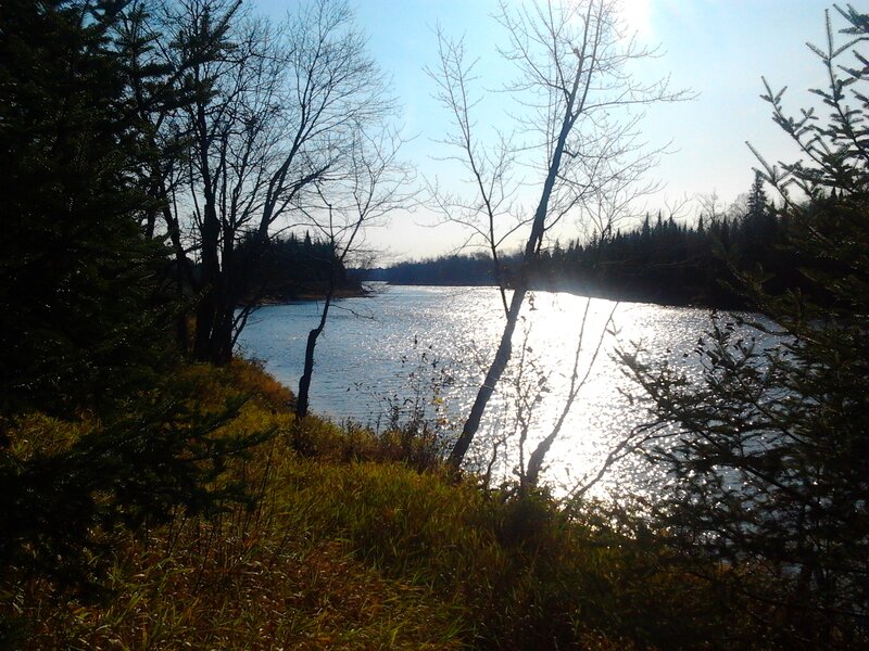 River Through Forest — Blue, Serene, Afternoon
