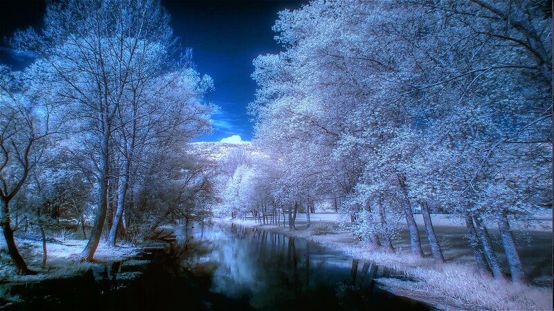 River Through Forest — Blue, Serene, Night