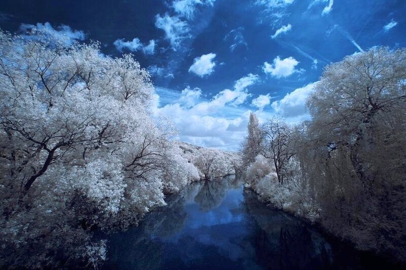 River Through Forest — Blue, Serene, Photograph