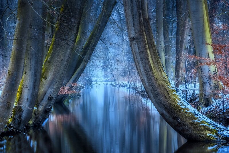 River Through Forest — Blue, Serene, Winter