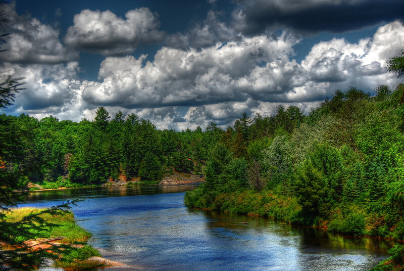 River Through Forest — Blue