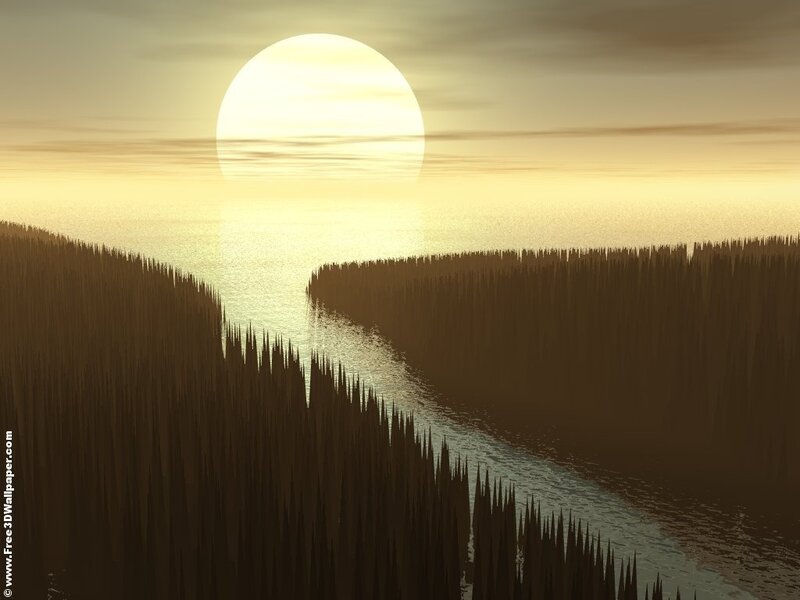River Through Forest — Brown