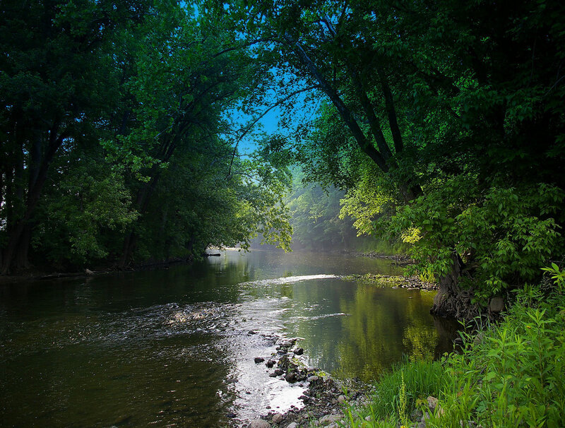 River through forest canopy