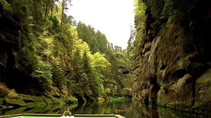 River Through Forest Canyon