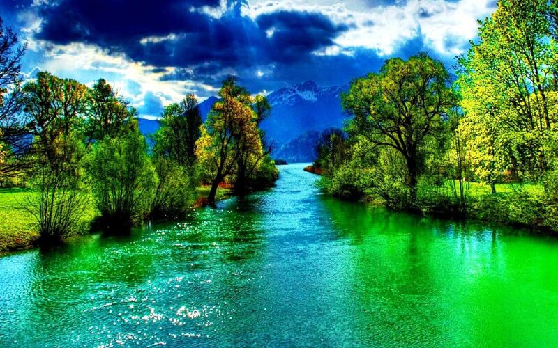 River Through Forest — Green, Dramatic, Afternoon, Photograph