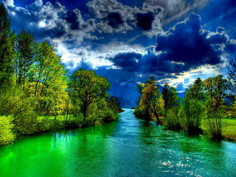 River Through Forest — Green, Dramatic, Afternoon