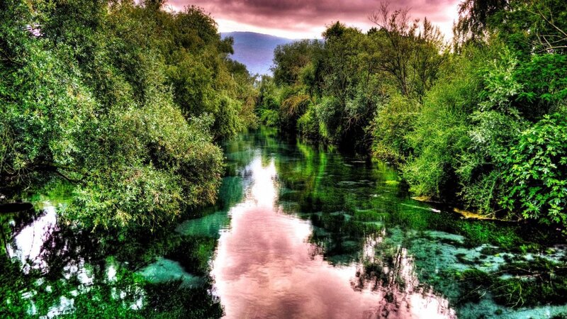 River Through Forest — Green, Dramatic, Sunset, Photograph, Trees