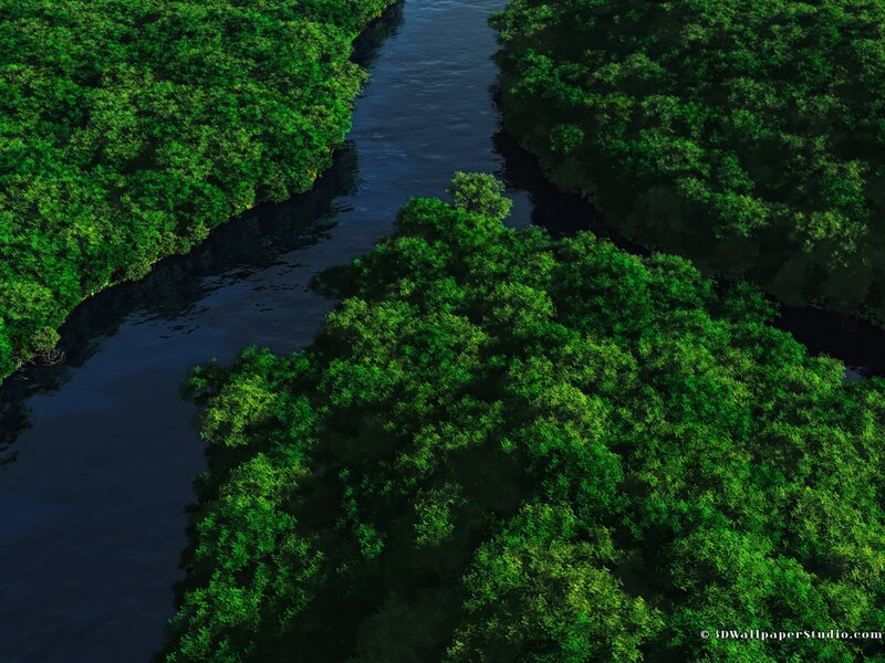 River Through Forest — Green, Serene, 3d Render