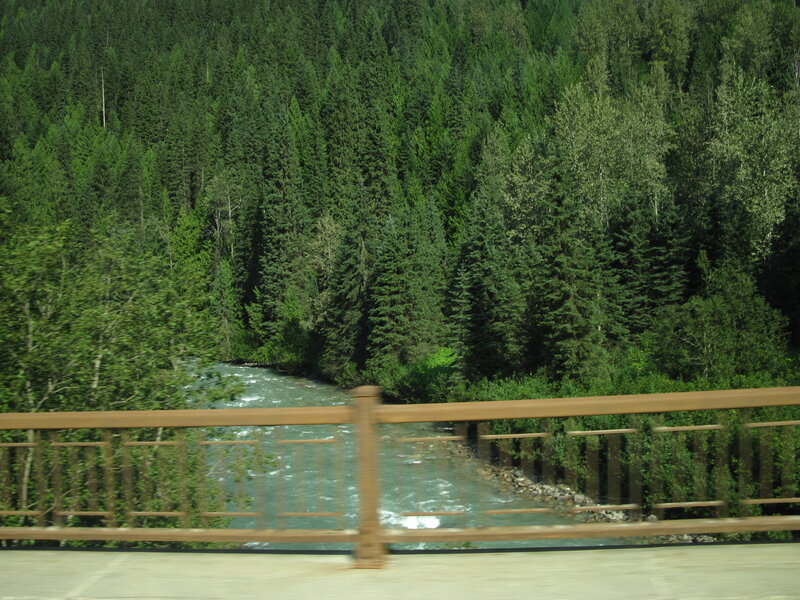 River Through Forest — Green, Serene, Afternoon, Photograph, Bridge