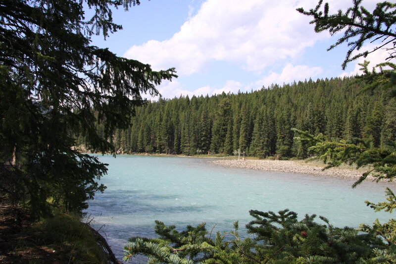River Through Forest — Green, Serene, Afternoon, Photograph