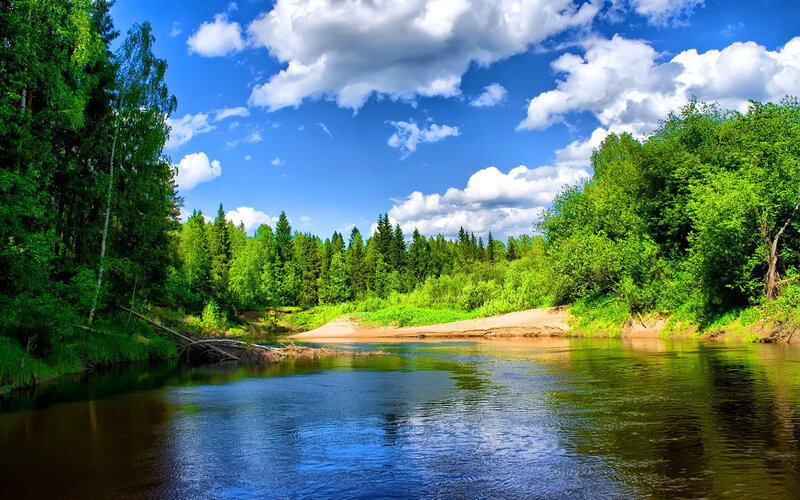 River Through Forest — Green, Serene, Afternoon, Photograph, Trees, Clouds, Sandbar
