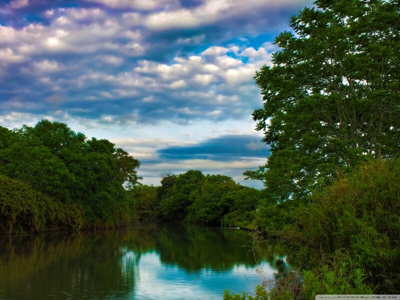 River Through Forest — Green, Serene, Afternoon, Photograph, Trees, Clouds