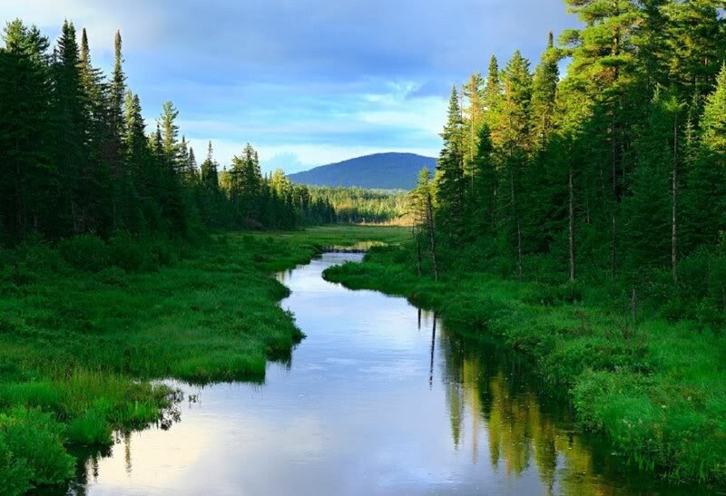 River Through Forest — Green, Serene, Afternoon, Photograph, Trees, Mountain