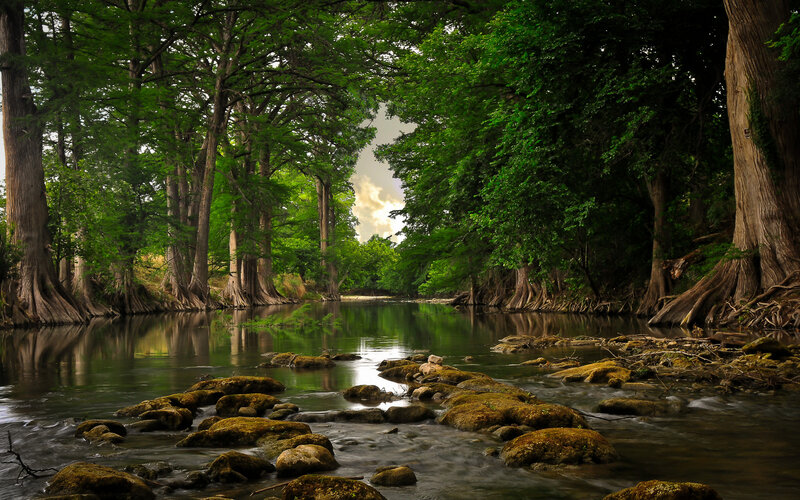 River Through Forest — Green, Serene, Afternoon, Photograph, Trees