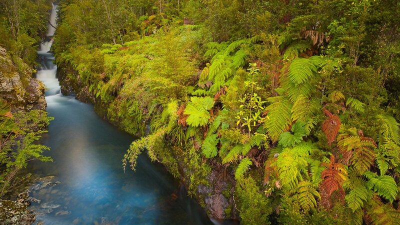 River Through Forest — Green, Serene, Afternoon, Photograph, Waterfall