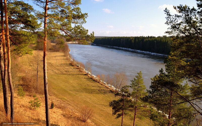 River Through Forest — Green, Serene, Autumn, Photograph, Trees, Grass