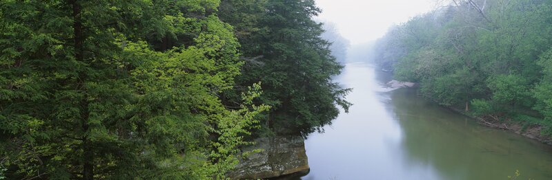 River Through Forest — Green, Serene, Morning, Photograph, Trees, Fog, Rock