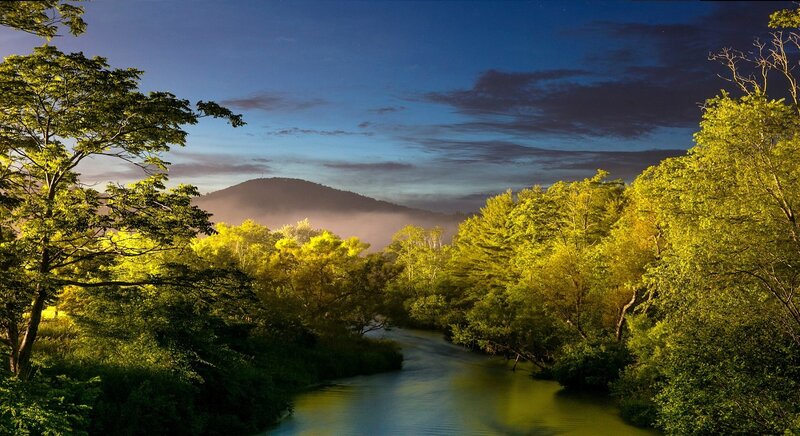 River Through Forest — Green, Serene, Morning, Photograph, Trees, Mountain