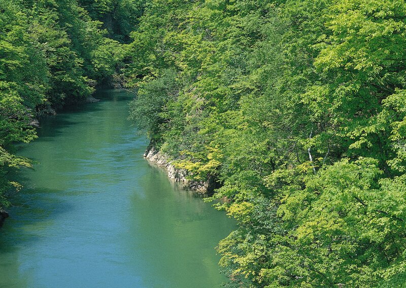 River Through Forest — Green, Serene, Summer, Photograph, Trees, Rocks