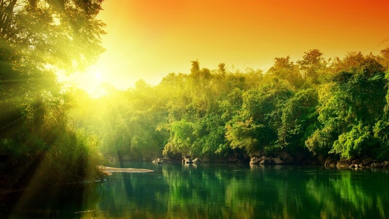 River Through Forest — Green, Serene, Sunrise, Photograph