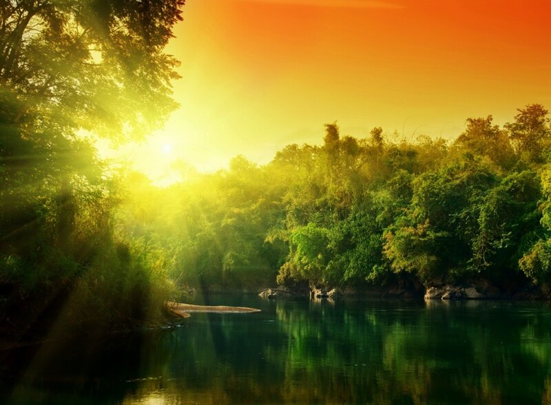 River Through Forest — Green, Serene, Sunset, Photograph, Sunlight