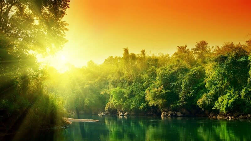 River Through Forest — Green, Serene, Sunset, Photograph, Sunlight, Trees