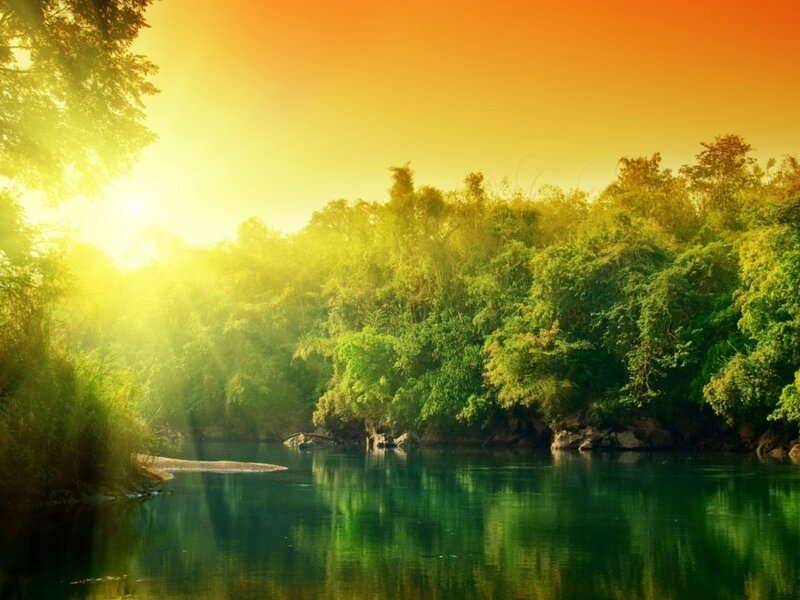 River Through Forest — Green, Serene, Sunset, Photograph, Sunlight, Trees, Water