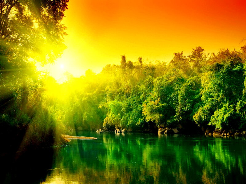River Through Forest — Green, Serene, Sunset, Photograph