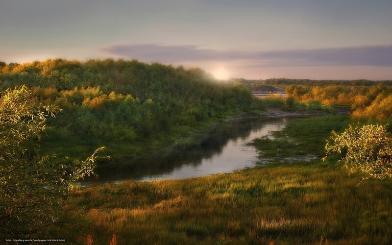 River Through Forest — Green, Serene, Sunset, Photograph, Trees, Grass, Sun