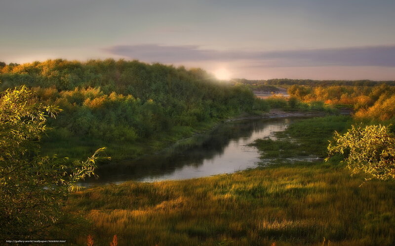 River Through Forest — Green, Serene, Sunset, Photograph, Trees, Grass