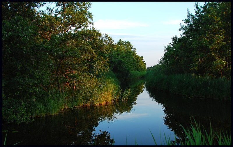River Through Forest — Green, Serene, Sunset, Photograph, Trees, Reeds