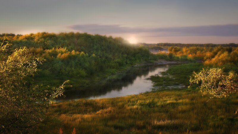 River Through Forest — Green, Serene, Sunset, Photograph, Trees