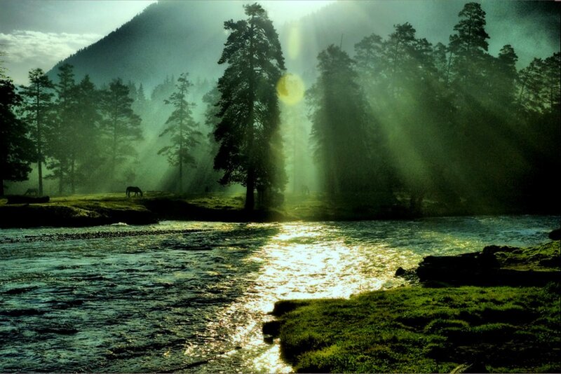 River Through Forest — Green, Serene