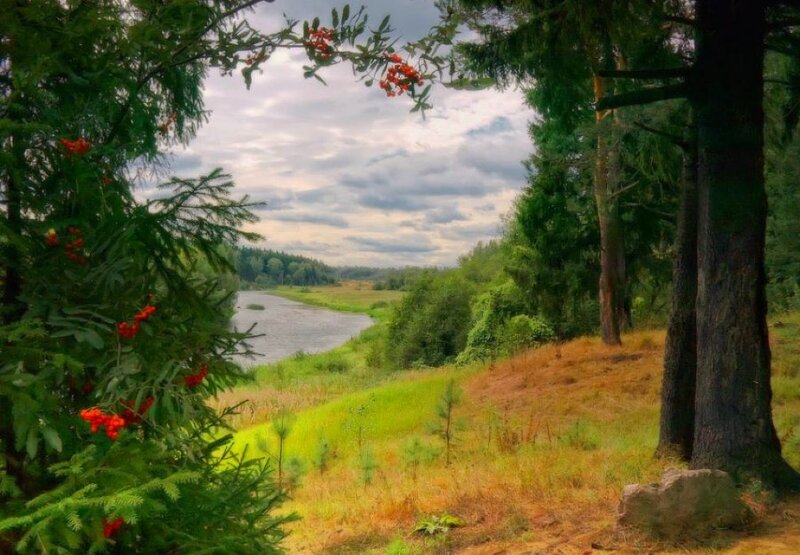 River Through Forest — Green