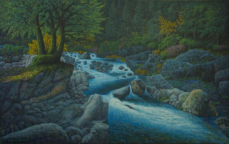 River through forest landscape