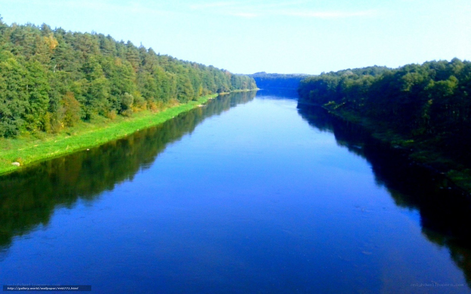 river through forest landscape