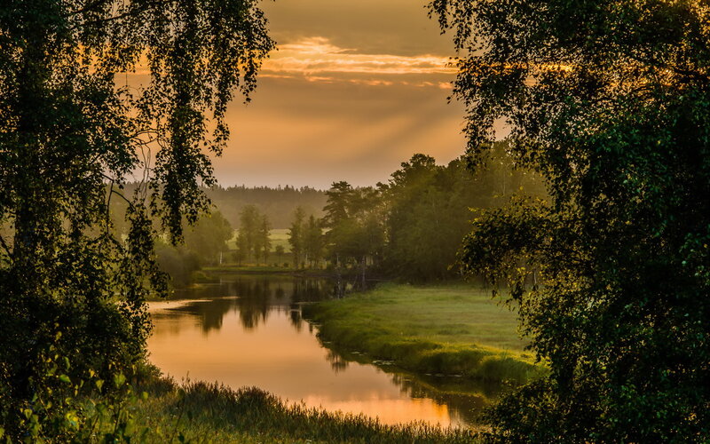 River Through Forest — Orange