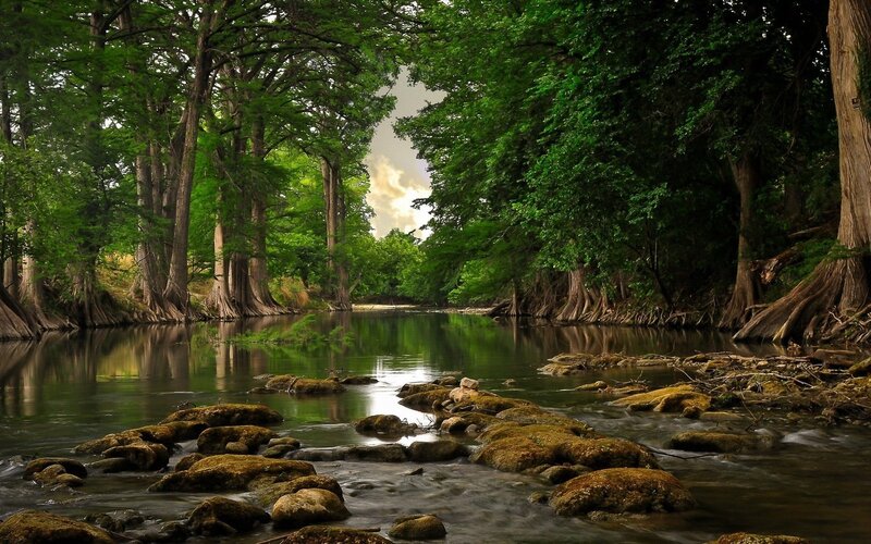 River Through Forest — Photograph