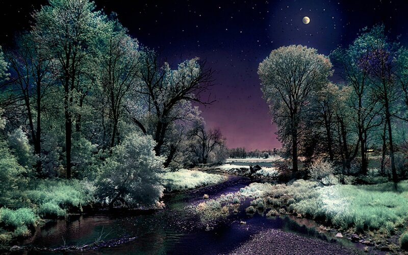 River Through Forest — Purple