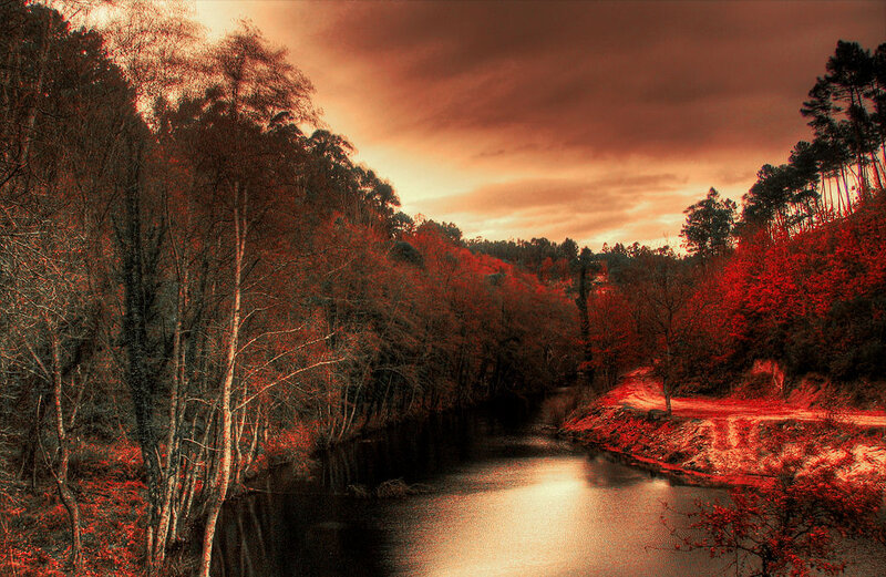 River Through Forest — Red