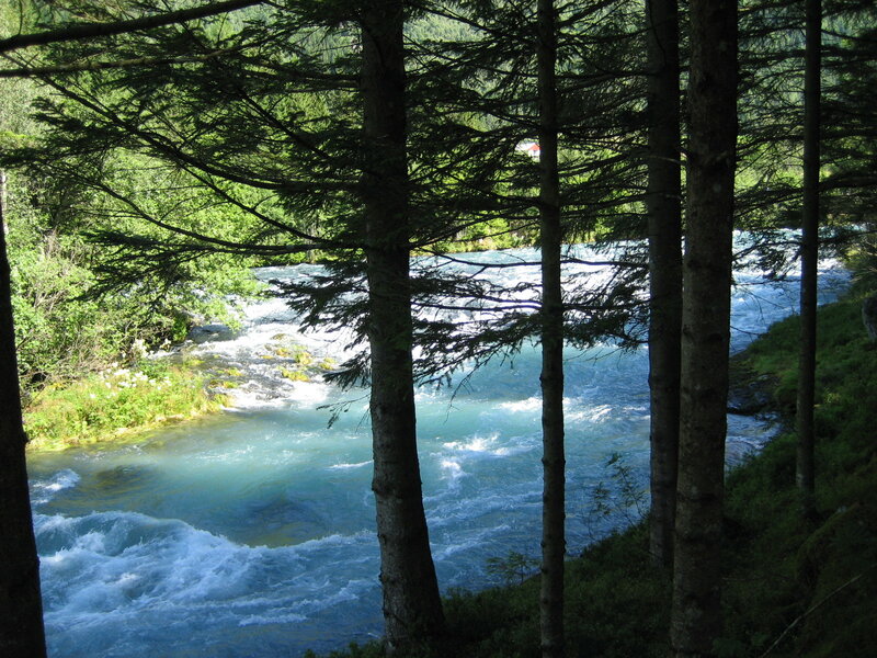 River Through Forest