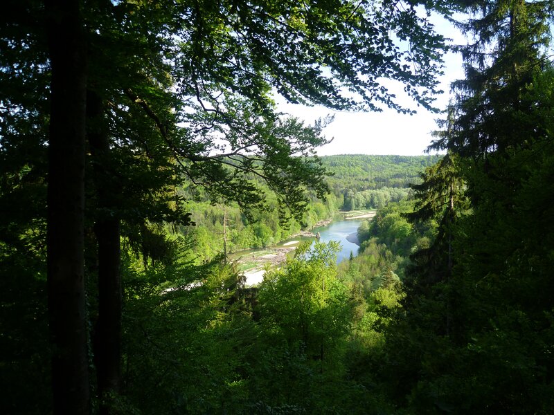 River Through Forest Valley — Green, Serene, Afternoon
