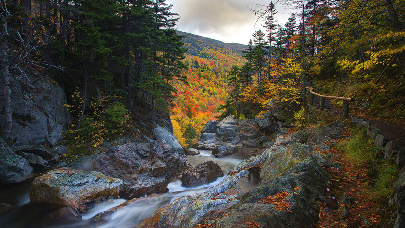 River Through Forest Valley — Green, Serene