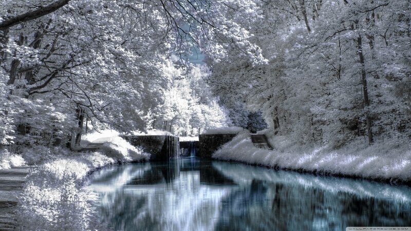 River Through Forest — White