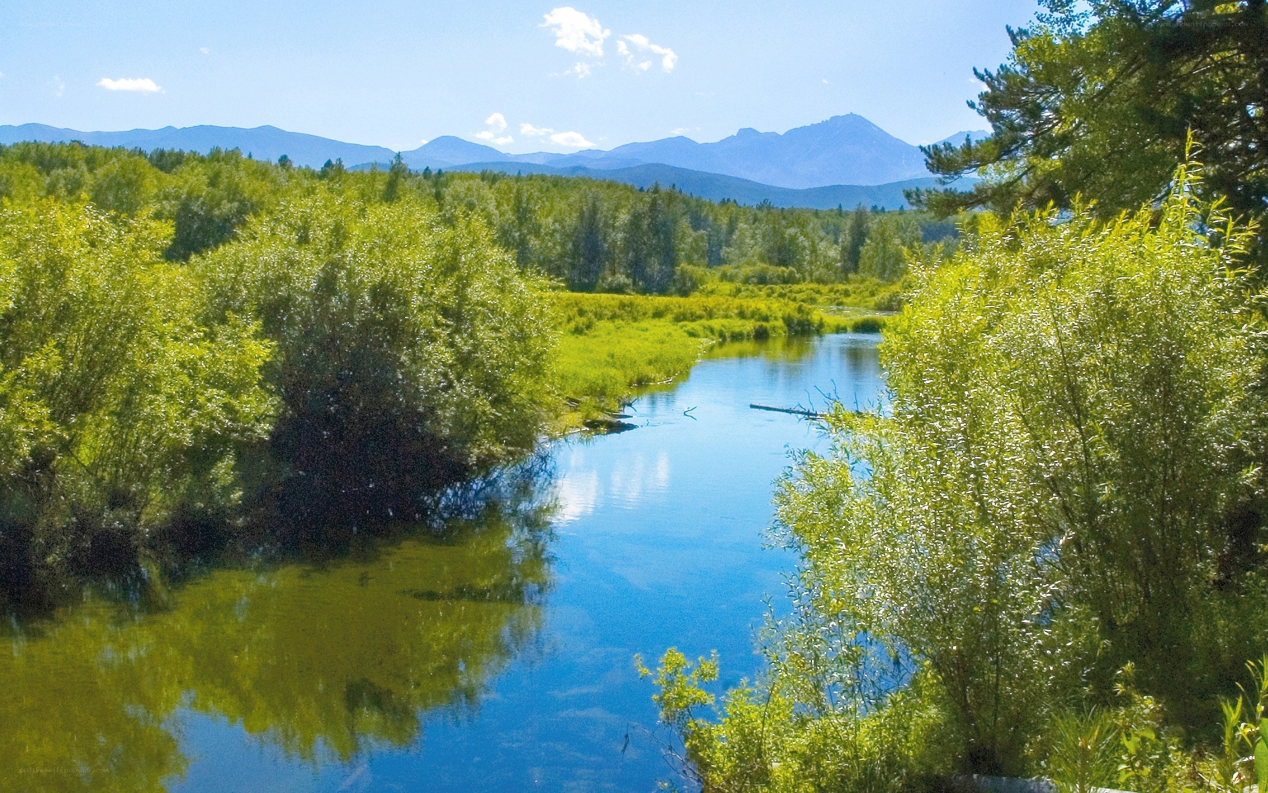River through forest with mountains