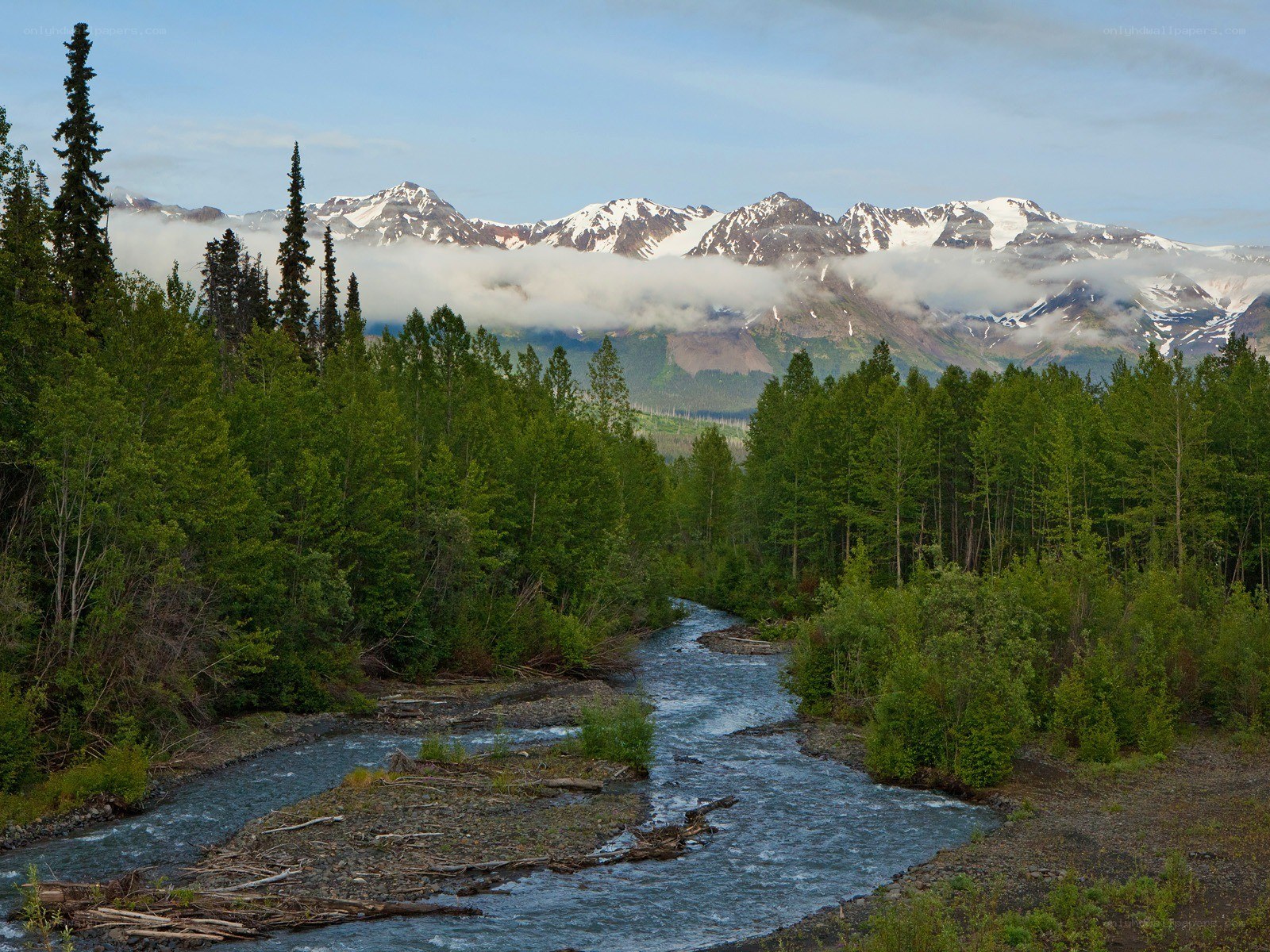 River through forest with mountains