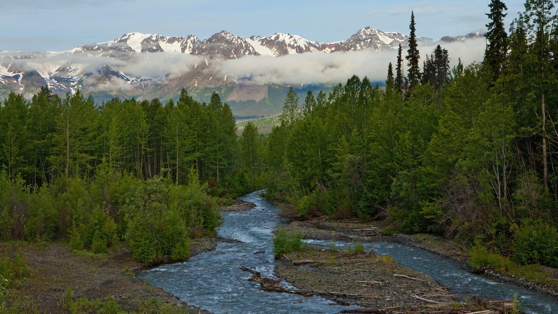River through forest with mountains
