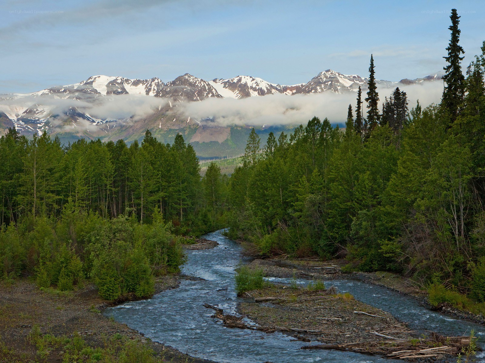 River through forest with snow-capped mountains