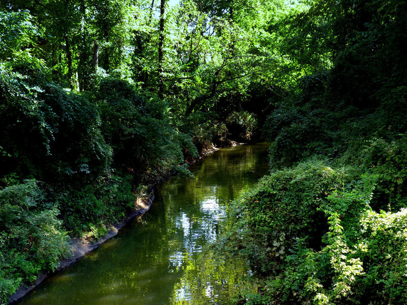 river through forested area