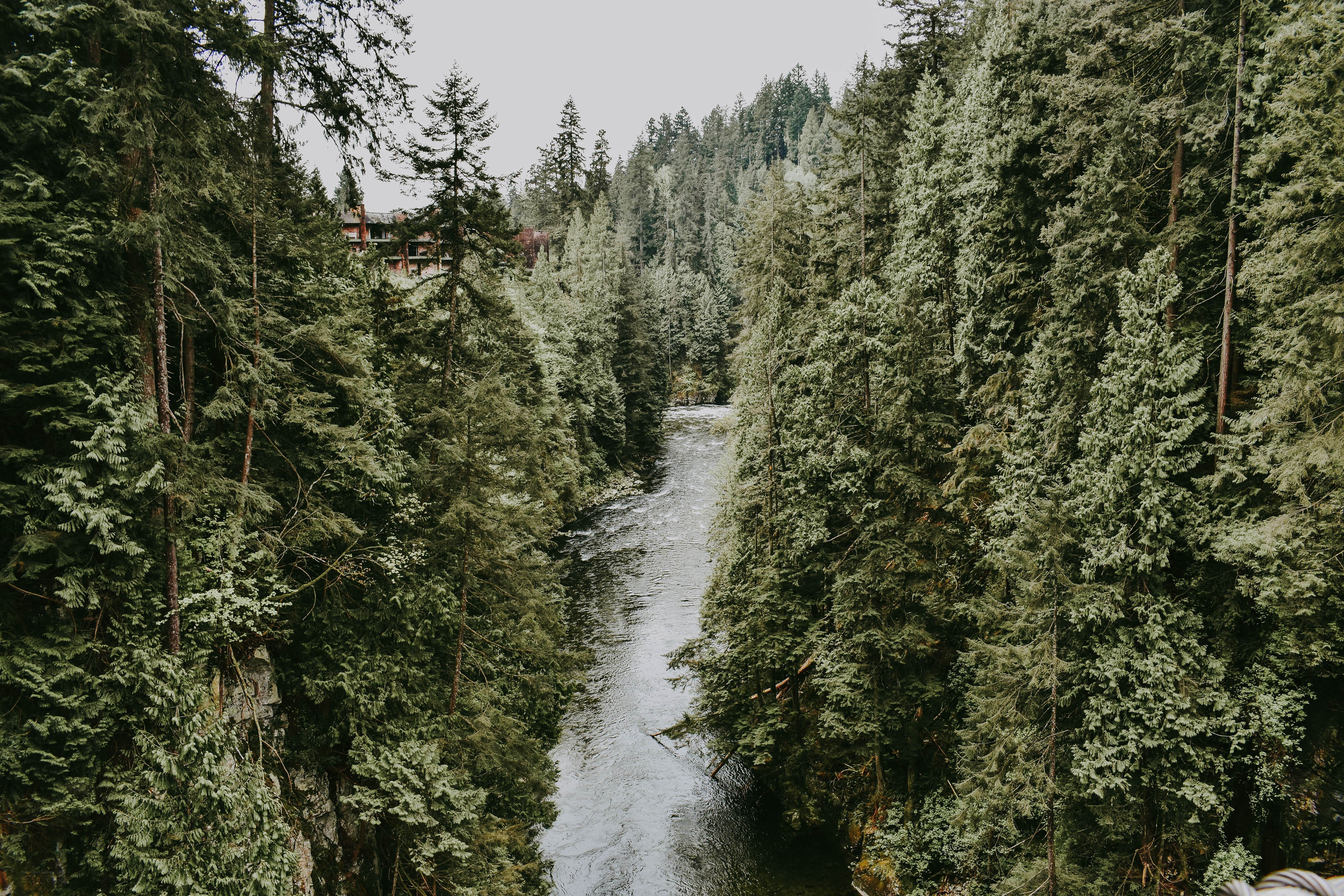 river through forested canyon
